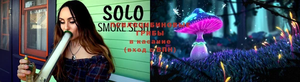 ГАЛЛЮЦИНОГЕННЫЕ ГРИБЫ Абаза