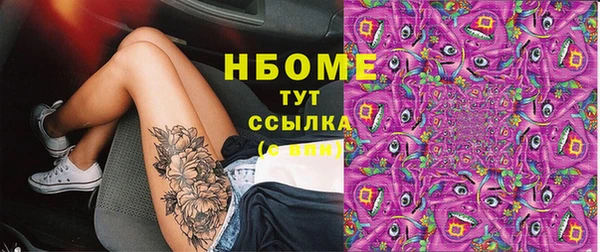 шишки Няндома