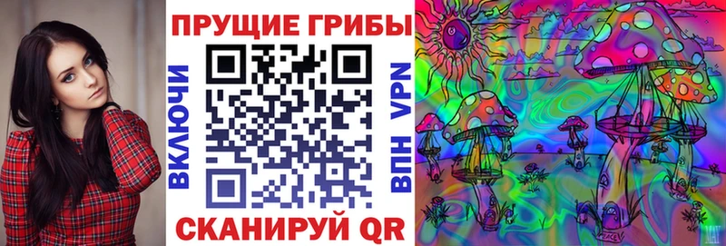 купить наркоту Новотитаровская Псилоцибиновые грибы мухоморы